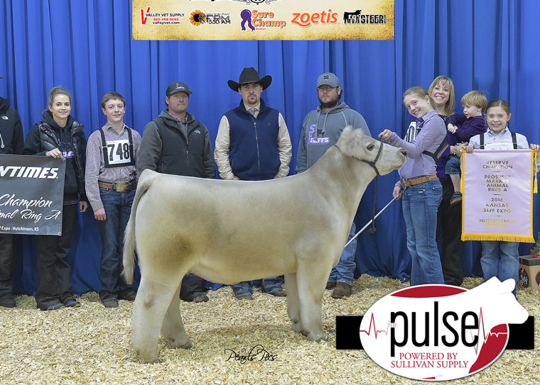 pulse_2016-kbe-res-supreme-champion-steer-ring-a-xbred-exhibited-by-lillie-skiles-ppw4542