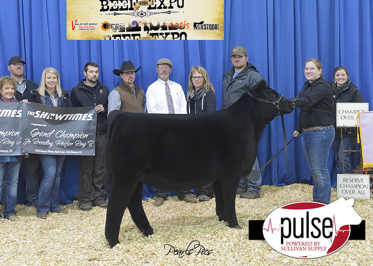 pulse_2016-kbe-supreme-champion-jr-heifer-ring-b-res-supreme-ring-a-angus-exhibited-by-maddy-udell-ppw3199