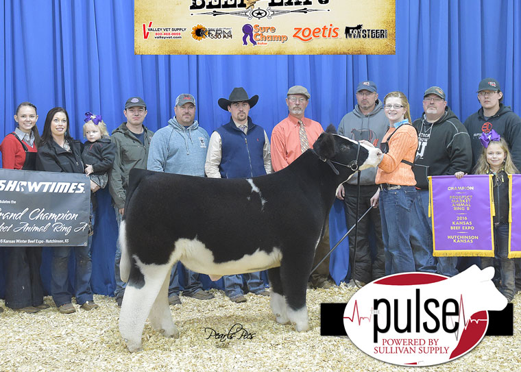 pulse_2016-kbe-supreme-champion-steer-ring-a_b-crossbred-exhibited-by-olivia-caldwell-ppw4482