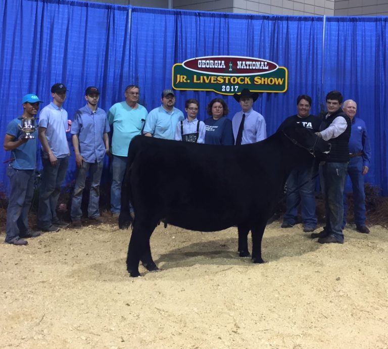 National Junior Livestock Show Supreme Champion Female The