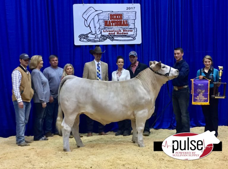 Dixie National Livestock Show Junior Market Steers The Pulse