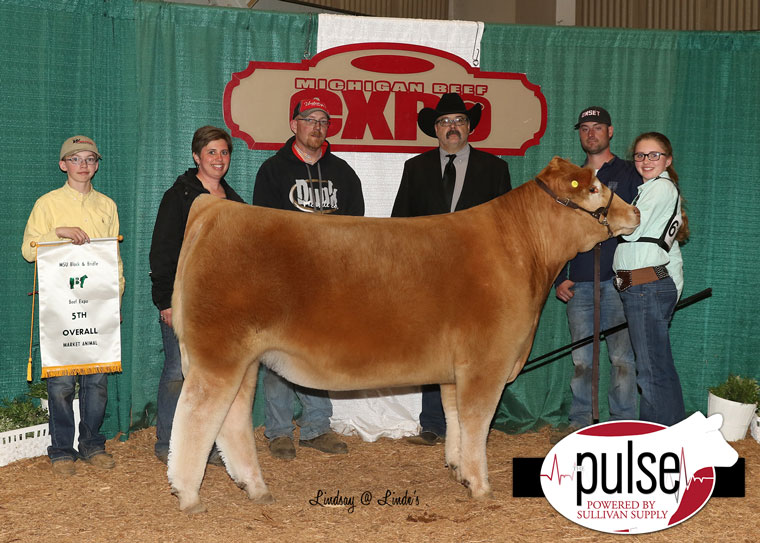 Michigan Beef Expo Top 5 Overall Steers The Pulse