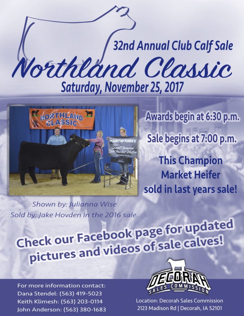 Northland Classic Club Calf Sale | The Pulse