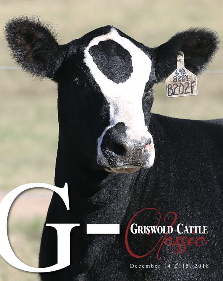 Griswold Cattle Company “CLASSIC” Female Sale THIS WEEKEND The Pulse