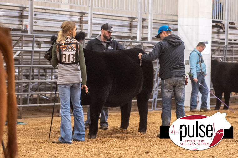 Finally Friday Kansas Beef Expo The Pulse