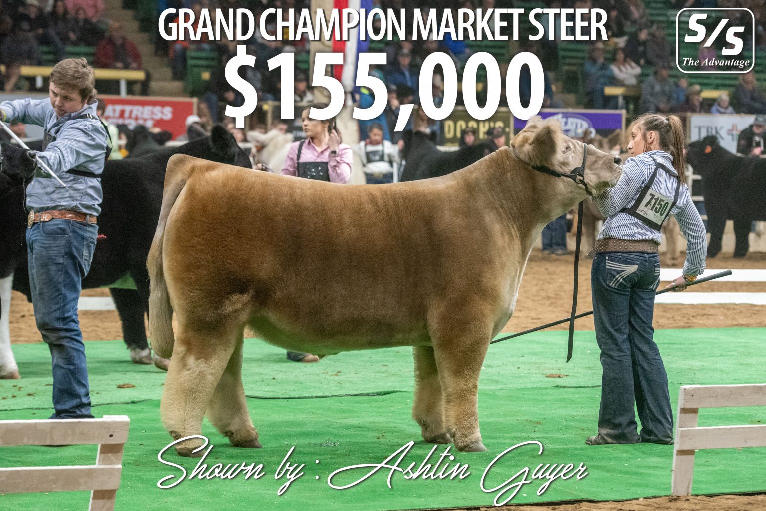 National Western Sale of Champions Grand Champion Steer The Pulse