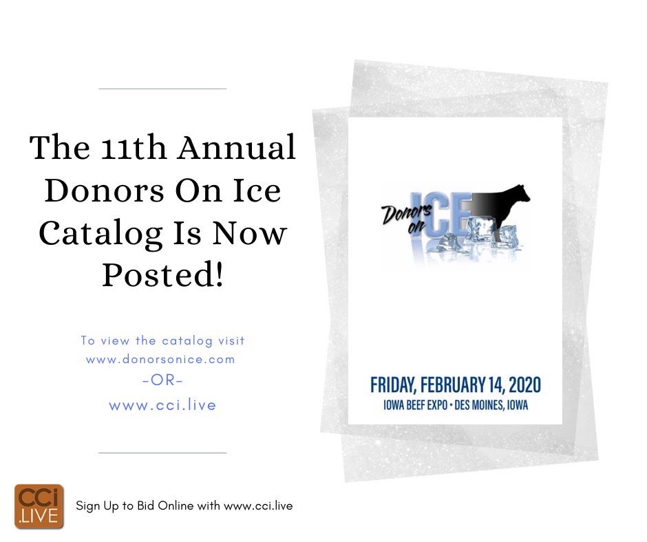 Donors On Ice! The Pulse