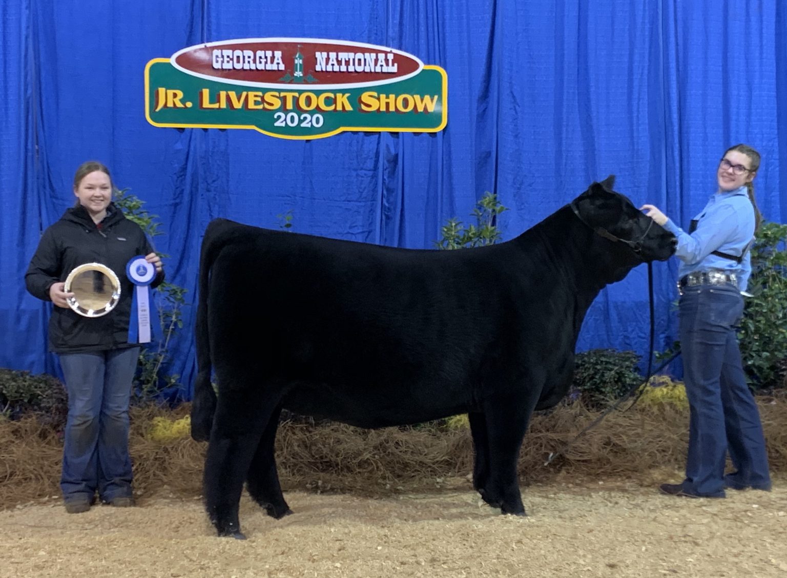 National Junior Livestock Show (Perry, GA) Heifer Results