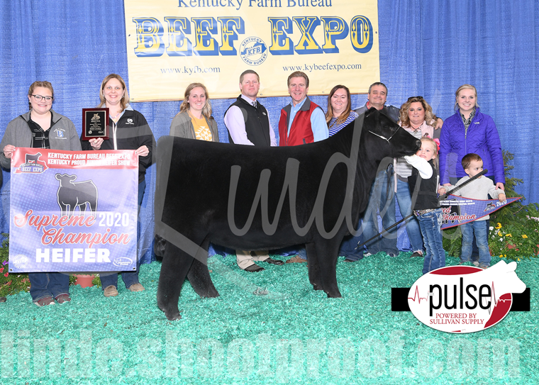 Kentucky Beef Expo Official Backdrops Top 5 Kentucky Heifers (Judge