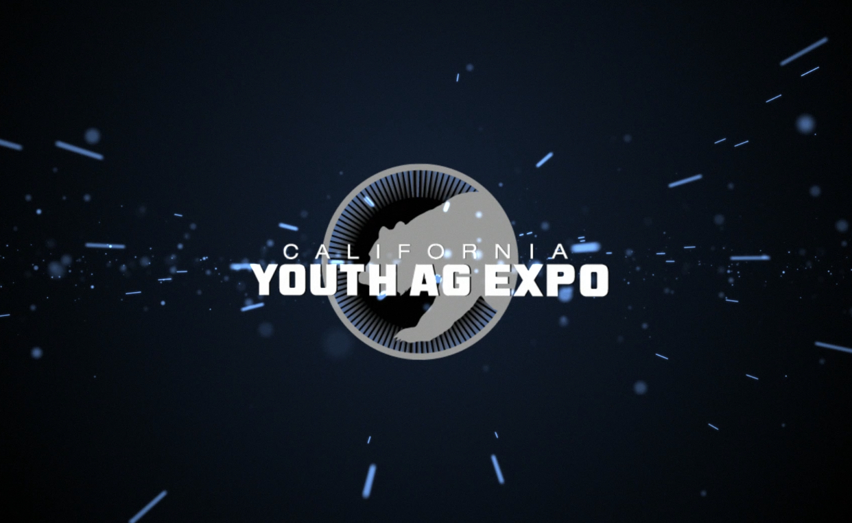 California Youth Ag Expo August 5th 9th The Pulse