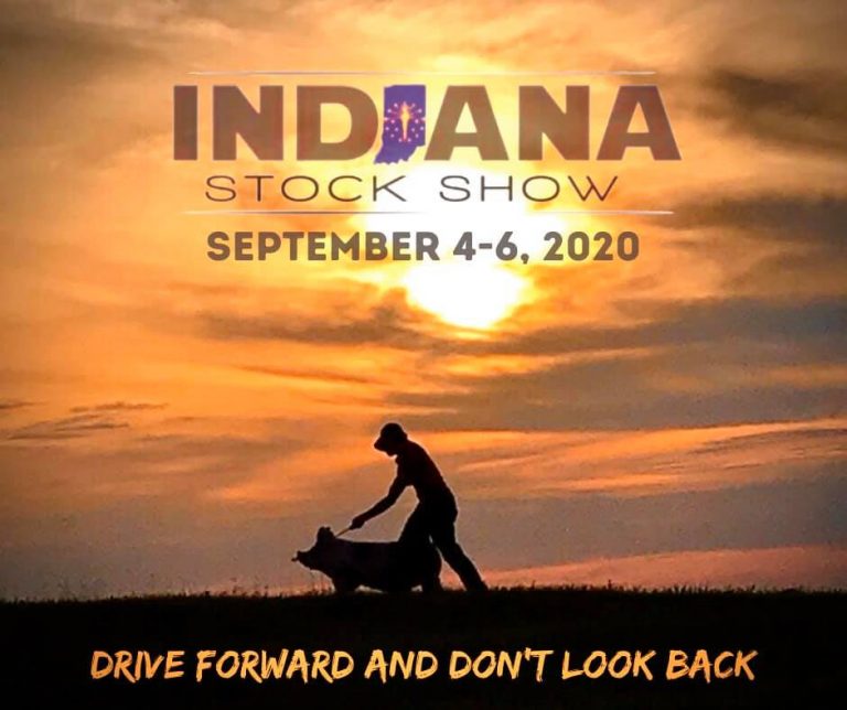 Indiana Stock Show September 4th 6th The Pulse