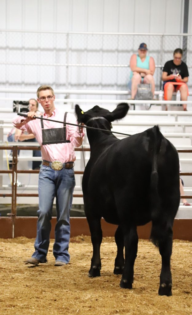 Snapshots from the Iowa Junior Simmental Field Day | The Pulse