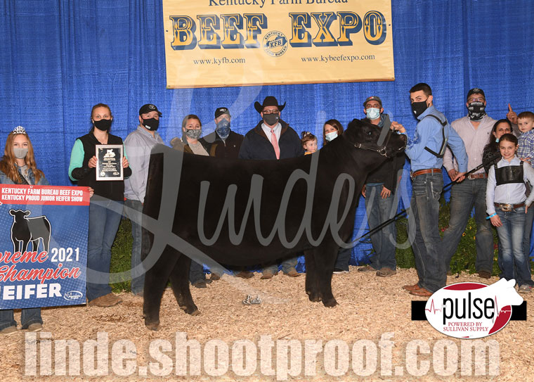 Kentucky Beef Expo Top 5 Kentucky Owned Heifers The Pulse