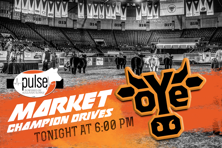 Oklahoma Youth Expo Champion Market Drives…Stay Tuned! The Pulse