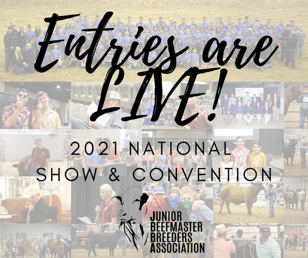 JBBA National Show and Convention Entries Are Open The Pulse