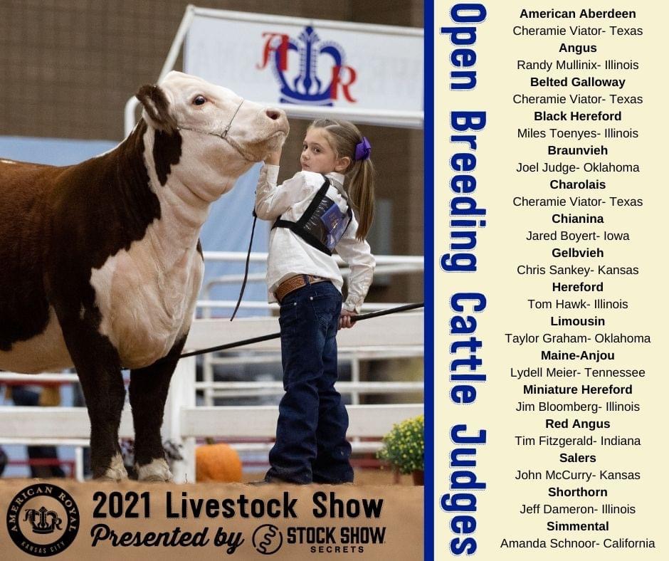 2021 American Royal Open Breeding Cattle Judges The Pulse