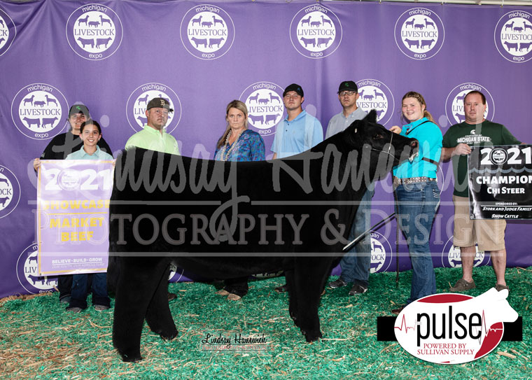 Michigan Livestock Expo Cattle Showcase The Pulse