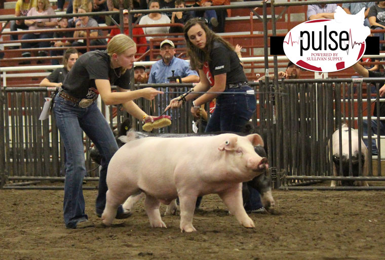 AKSARBEN Stock Show | Top 5 Market Hogs | The Pulse