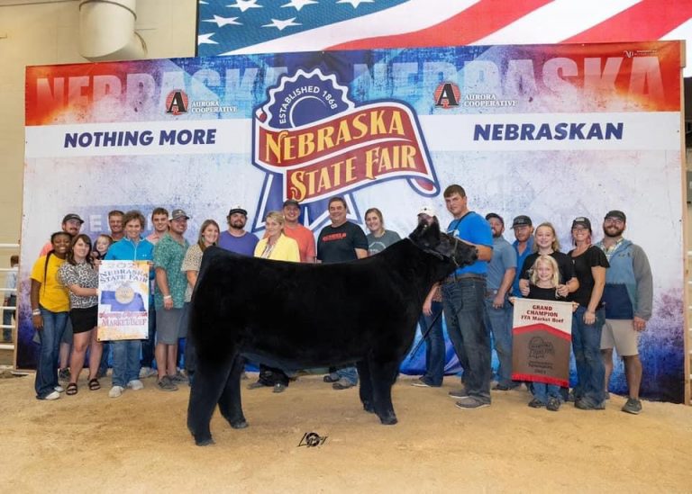 Nebraska State Fair FFA Market Beef The Pulse