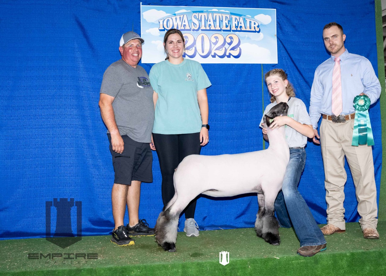 Iowa State Fair 4 H Breeding Ewes The Pulse