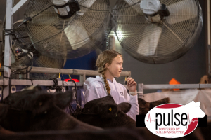 The Pulse | Powered By Sullivan Supply | Page 13