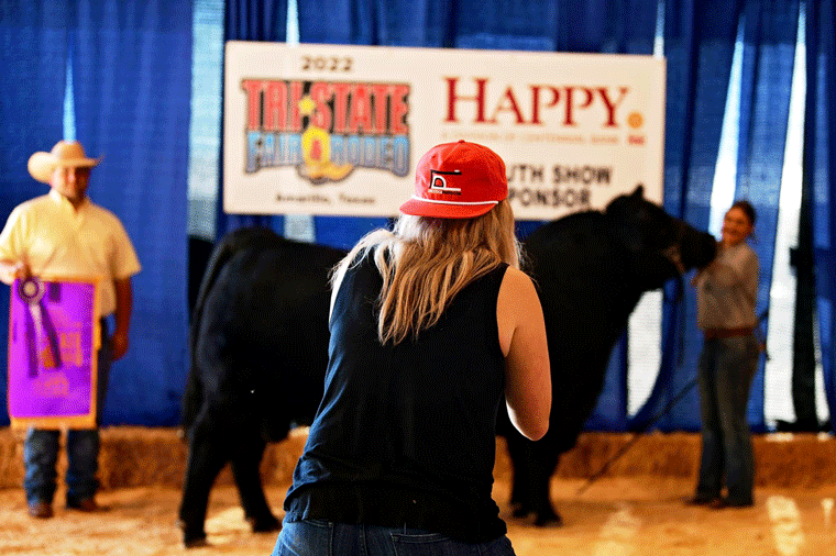 Tri State Fair & Rodeo Offical Photographer LivestockPhoto The Pulse