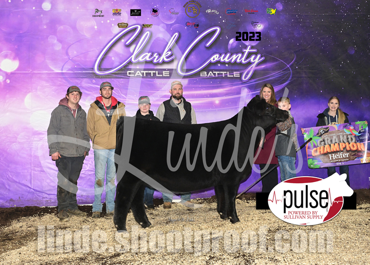 Clark County Cattle Battle Top 5 Breeding Heifers Ring A The Pulse