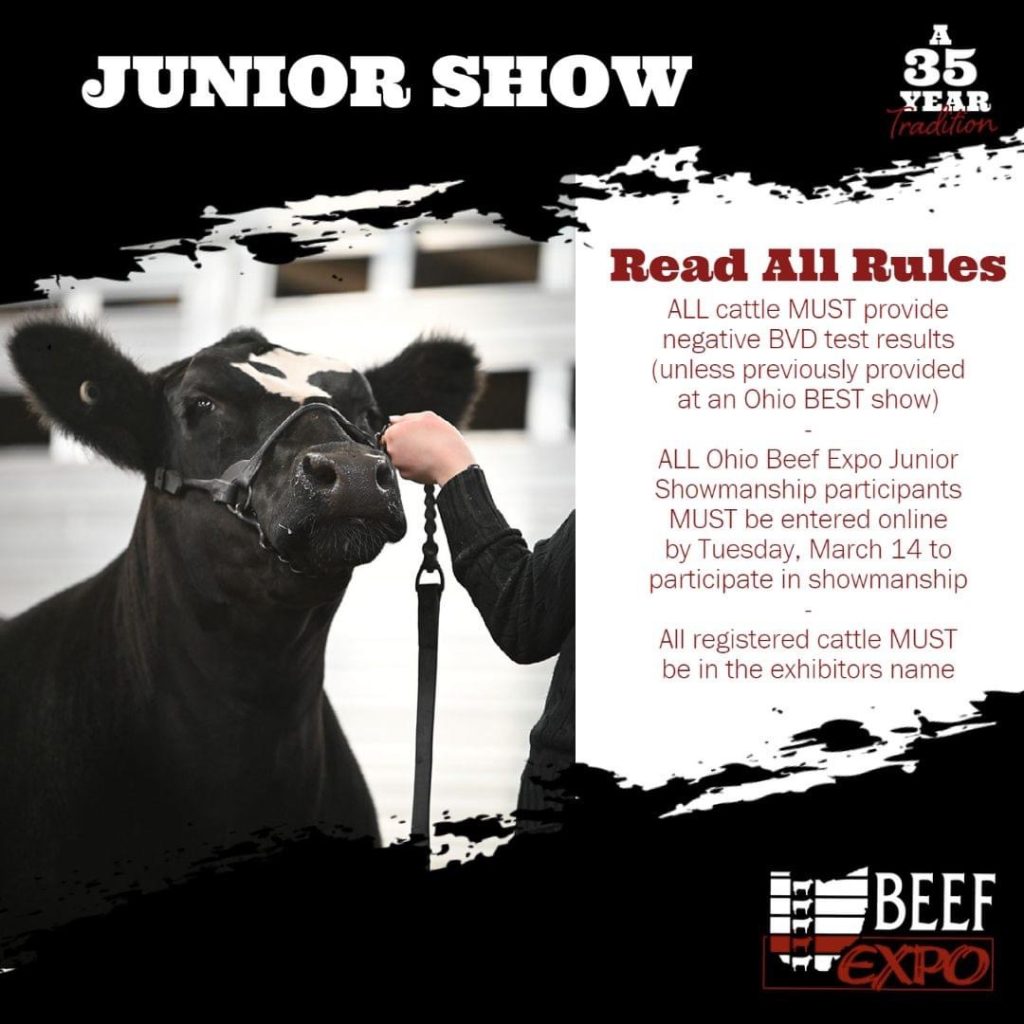 Ohio Beef Expo Junior Show Rules The Pulse