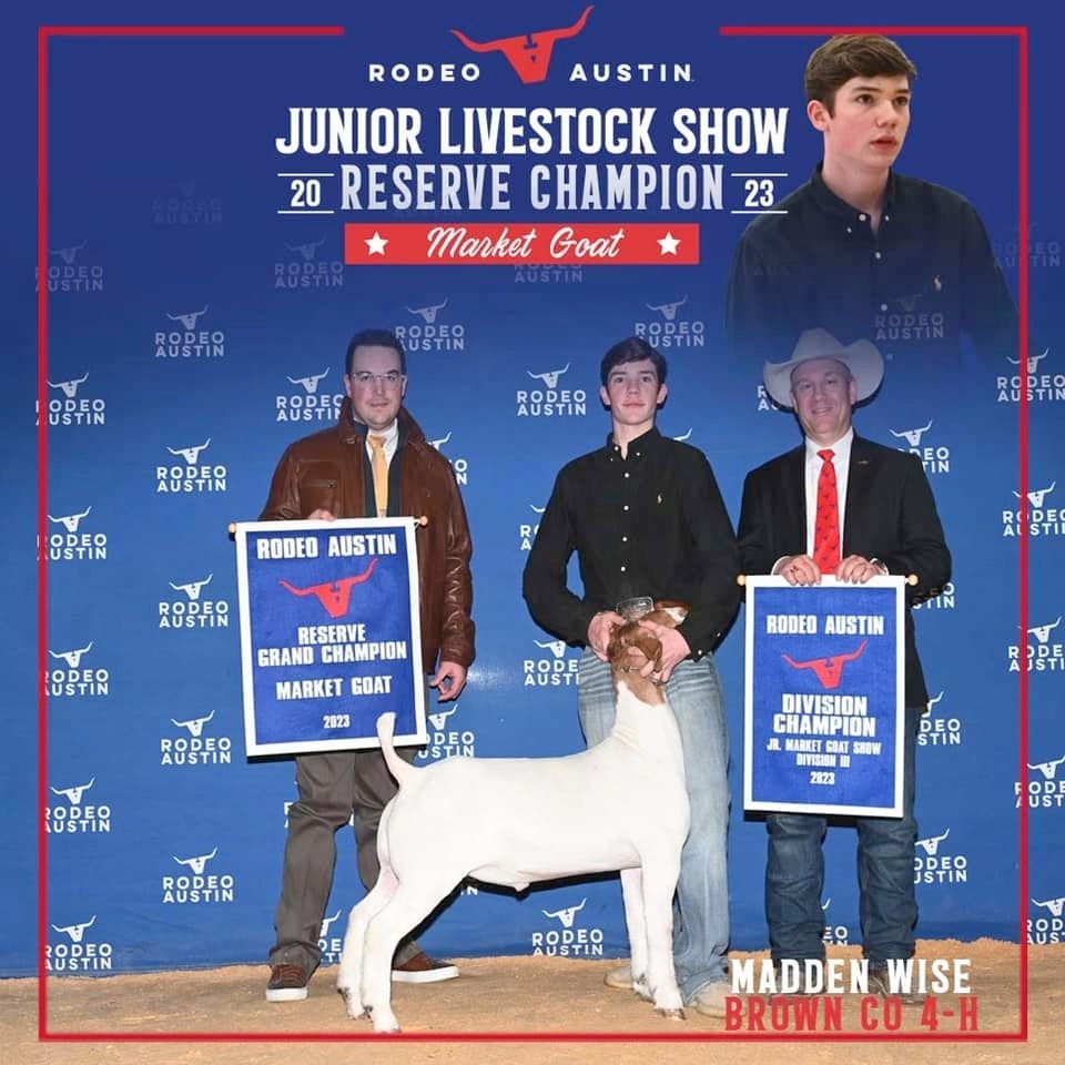 Rodeo Austin | Champion Market Goats | The Pulse