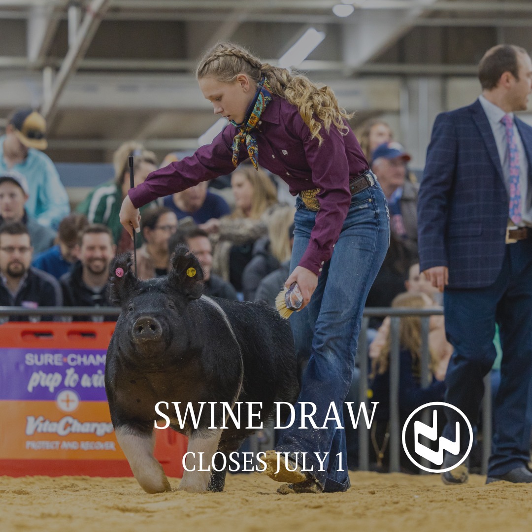 2024 NWSS Swine Draw The Pulse   344347208 192670313603578 4143583891678711314 N 