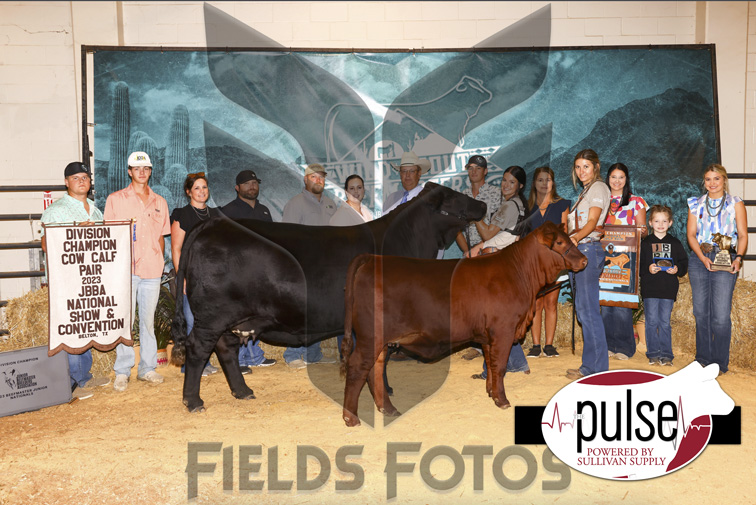 JBBA National Show Owned Cow/Calf Pairs The Pulse