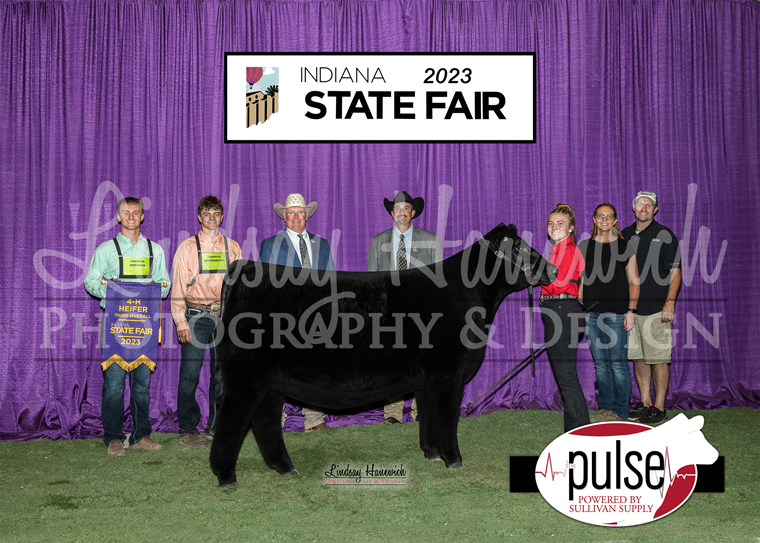 2023 Indiana State Fair | Overall Heifer | The Pulse