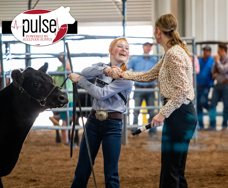 West Texas Fair & Rodeo Wild and Windy West Texas The Pulse