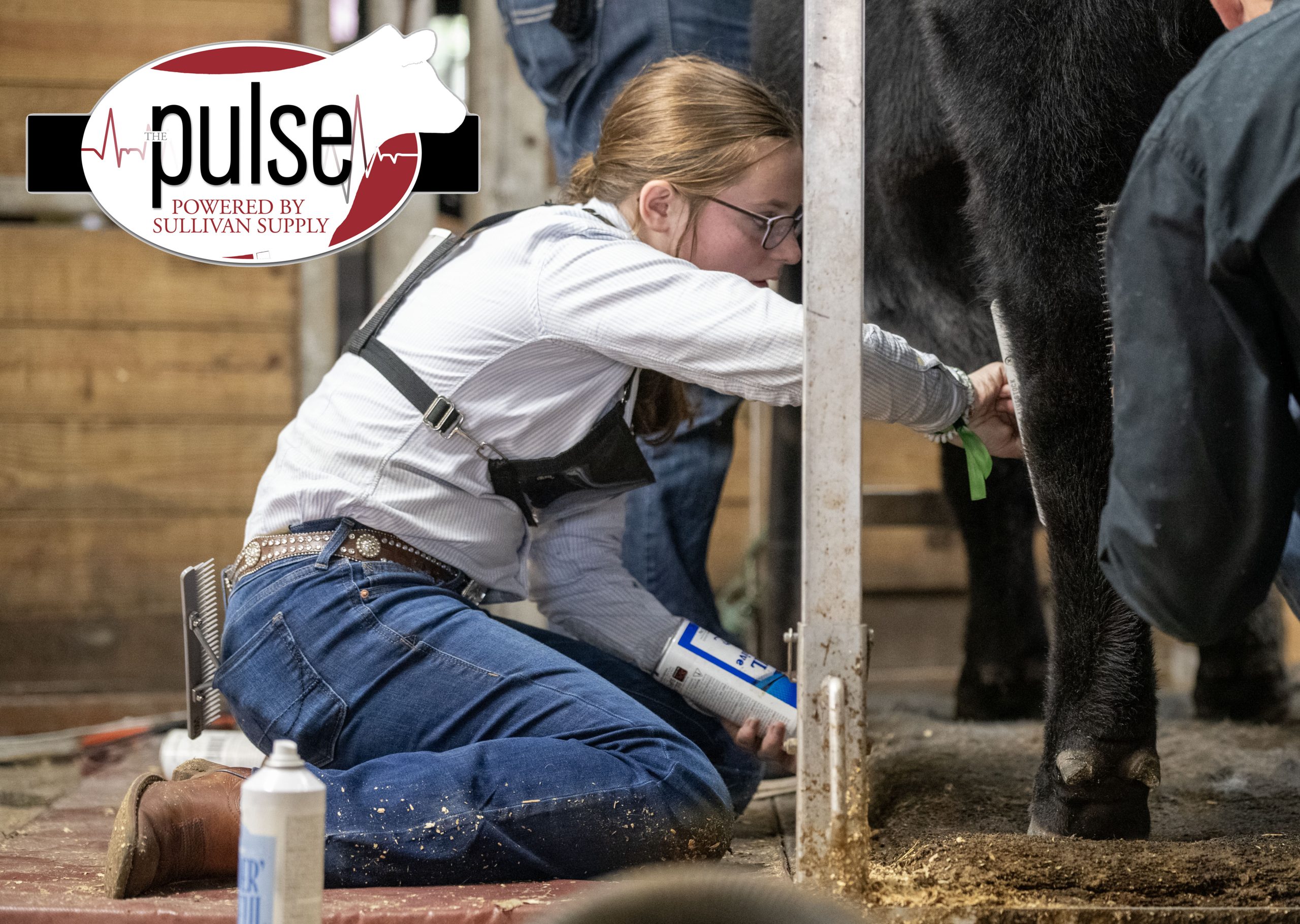 National Livestock Show Paradise in Perry The Pulse