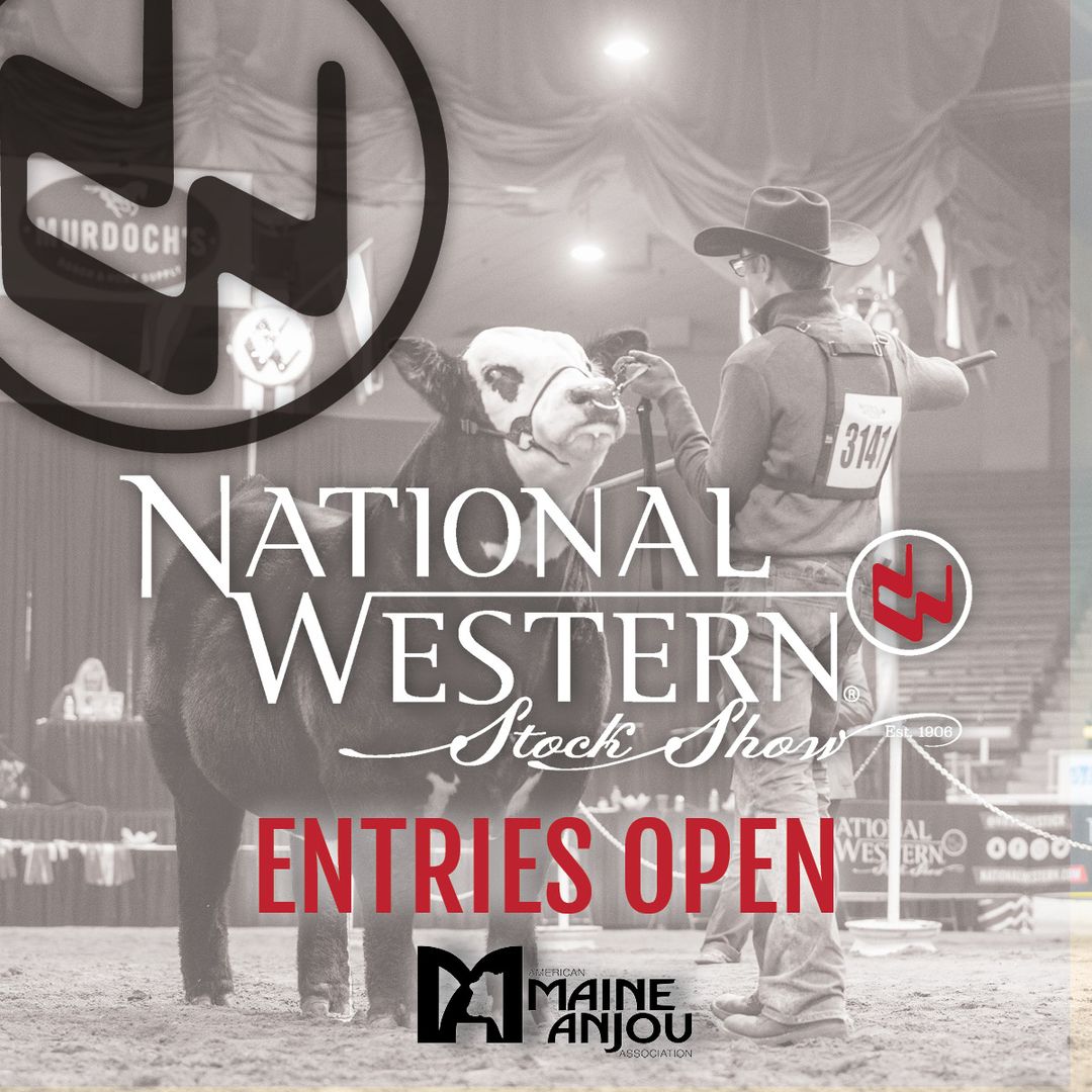 AMAA Entries for the 2024 National Western Livestock Show are open