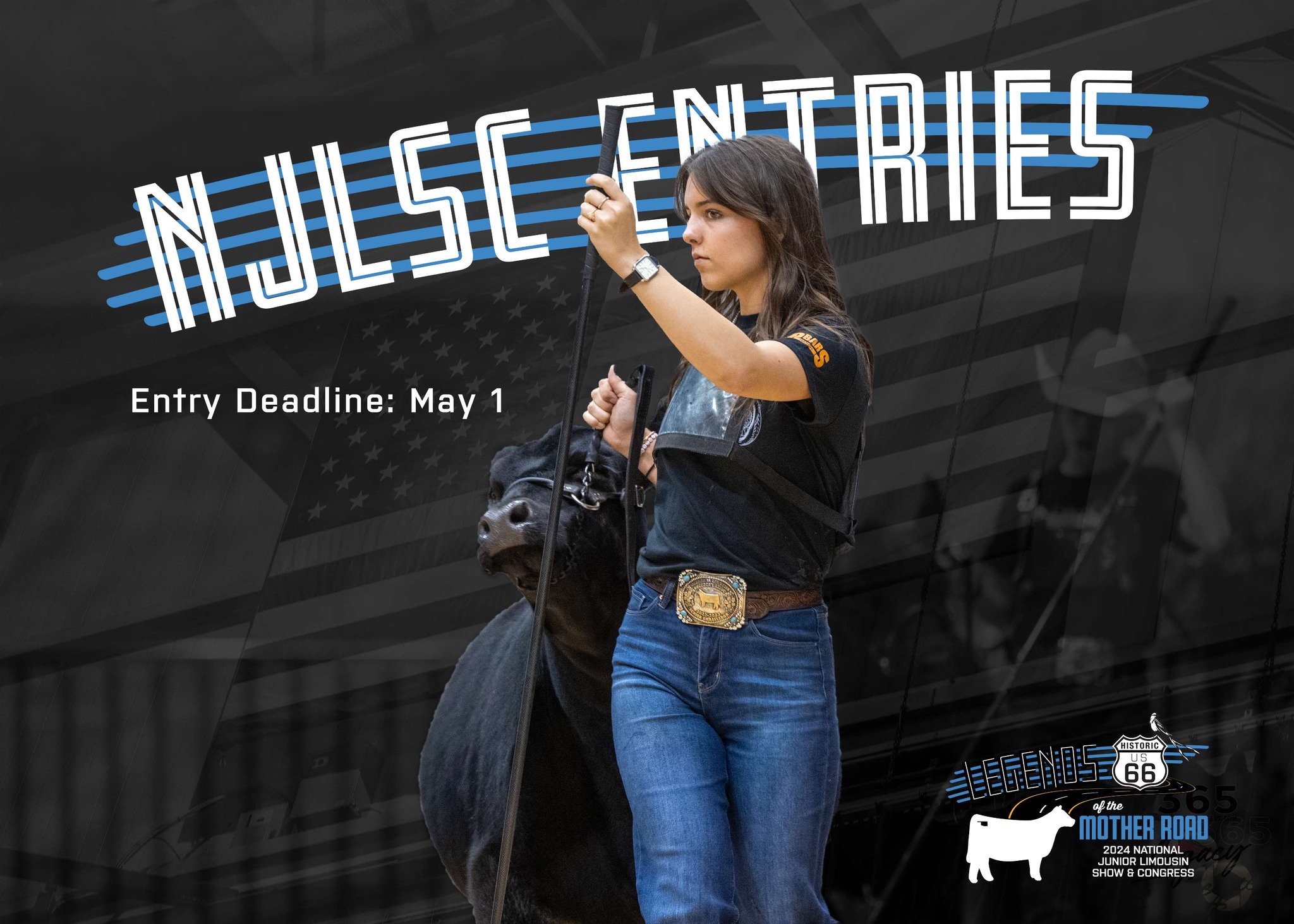 2024 National Junior Limousin Show & Congress, Eastern Regional, and ...